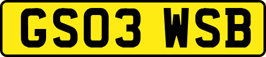GS03WSB
