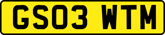 GS03WTM