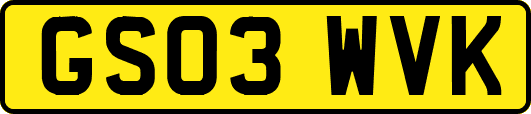 GS03WVK
