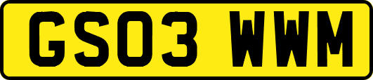 GS03WWM