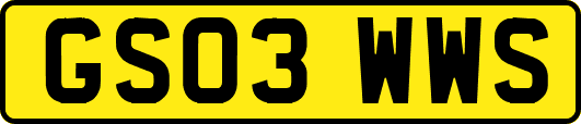 GS03WWS