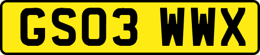 GS03WWX