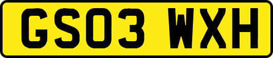 GS03WXH