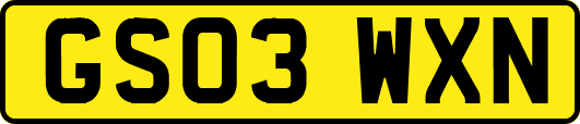 GS03WXN