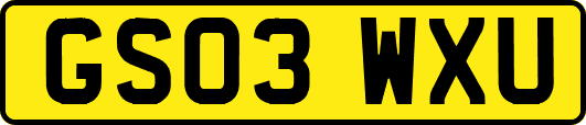 GS03WXU