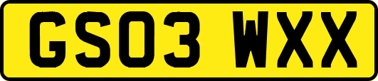 GS03WXX