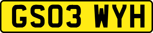 GS03WYH