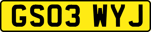 GS03WYJ
