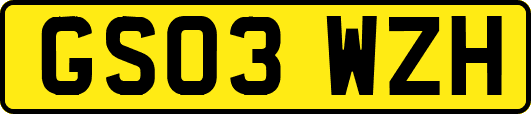 GS03WZH
