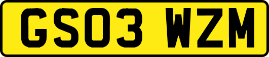 GS03WZM