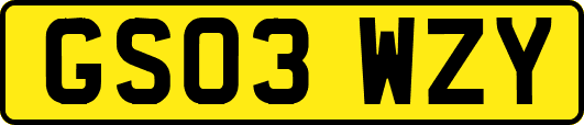 GS03WZY