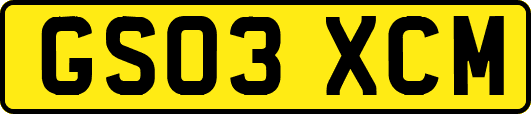 GS03XCM