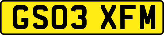 GS03XFM