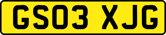 GS03XJG