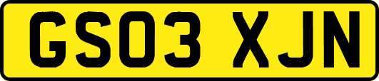GS03XJN