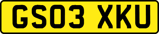 GS03XKU