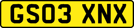 GS03XNX