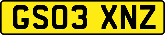 GS03XNZ