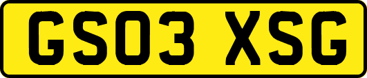 GS03XSG