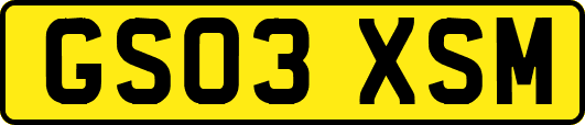 GS03XSM