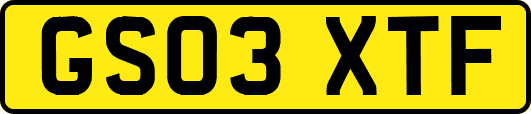 GS03XTF