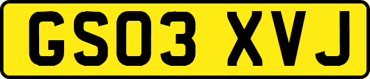 GS03XVJ