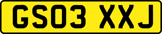GS03XXJ