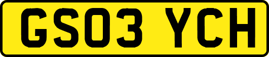 GS03YCH