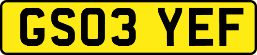 GS03YEF