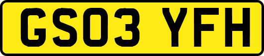 GS03YFH