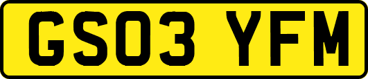 GS03YFM