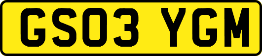 GS03YGM