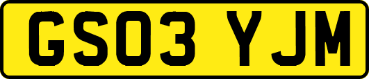 GS03YJM
