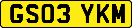 GS03YKM