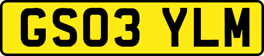 GS03YLM