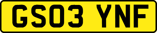 GS03YNF