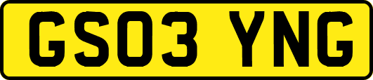 GS03YNG