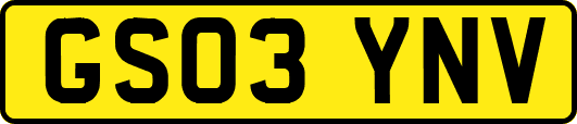 GS03YNV
