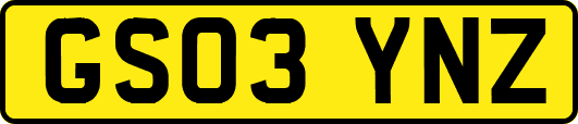 GS03YNZ