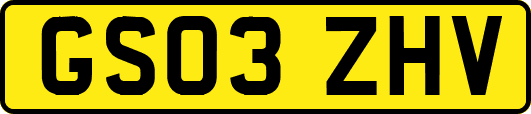 GS03ZHV