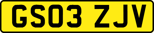 GS03ZJV