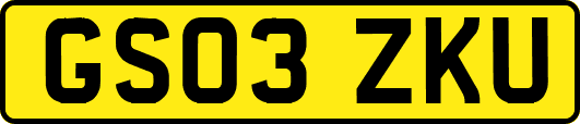 GS03ZKU