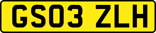 GS03ZLH