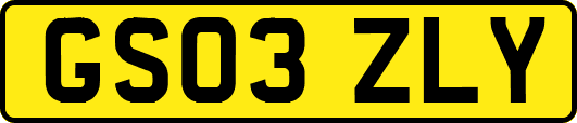 GS03ZLY