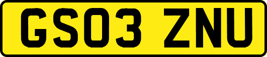 GS03ZNU