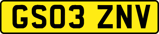 GS03ZNV