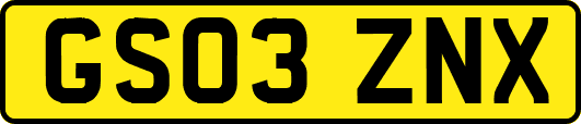 GS03ZNX
