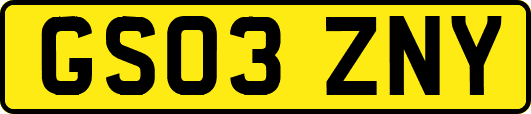 GS03ZNY