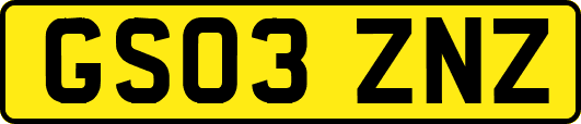GS03ZNZ