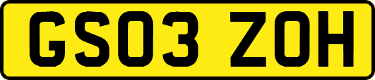 GS03ZOH